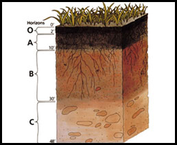 Soil Searching